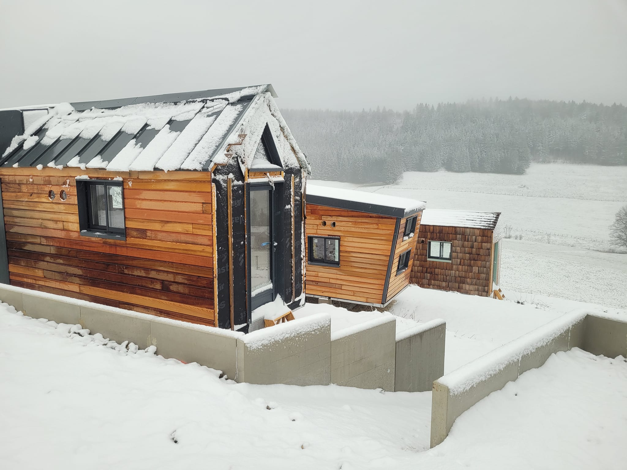 Nos tiny sous la neige